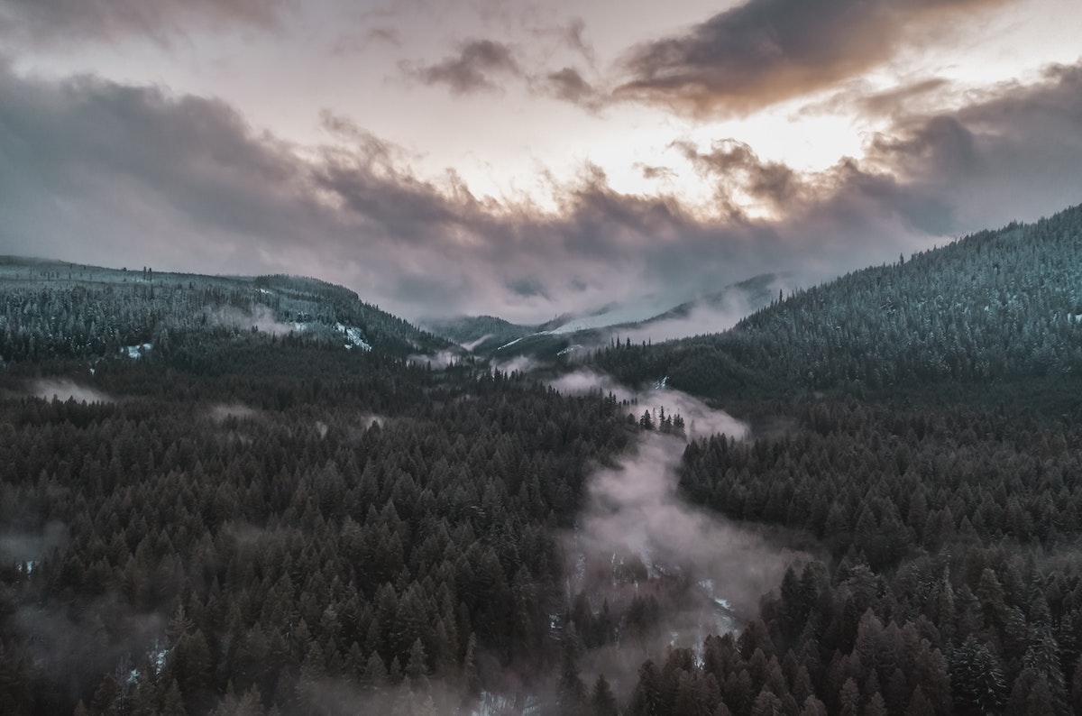 Steam rising off a river that runs right below the snowline in an old-growth forest in the Cascade Mountains of Oregon. Taken right as sunset.